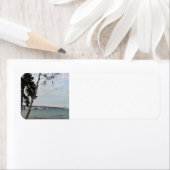 Mackinac Bridge, Michigan (Insitu)