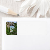 Mackinac Island Arch Rock (Insitu)