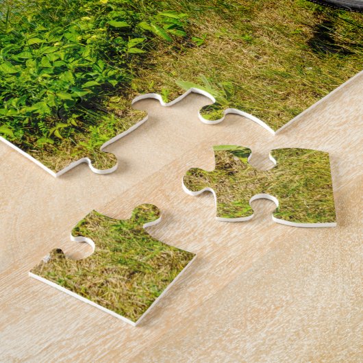 Mackinac Island Bike Puzzle (Seite)