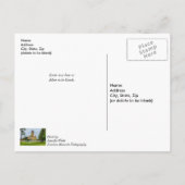 Mackinac Point-Lichtdenken Postkarte (Rückseite)