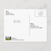 Mackinac Point Light Postkarte (Rückseite)