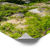 Mackinacs Arch Rock Poster (Ecke)