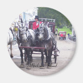 Mackinaw Island Series Magnet (Vorne)