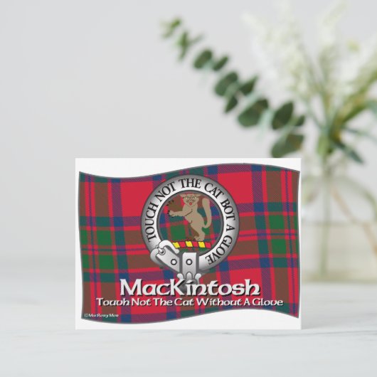 MacKintosh Clan Postkarte (Stehend Vorderseite)