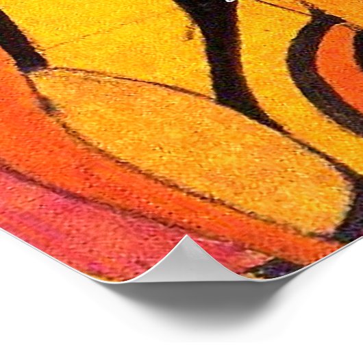 Mackintosh: Tulips Design Poster (Ecke)