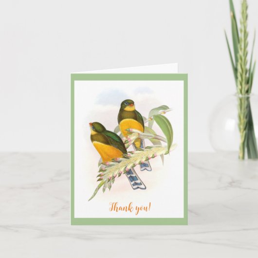 Macklot-Trogon (1850-1883) Karte (Vorderseite)