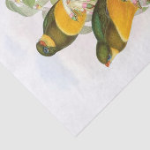 Macklot-Trogon, Decoupage Seidenpapier (Ausschnitt)