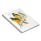 Macklot-Trogon Notizblock (Rechte Seite)