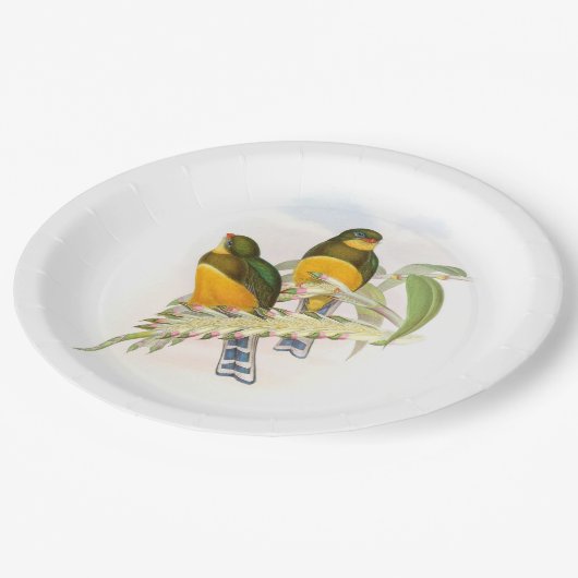 Macklot-Trogon Pappteller (Schrägansicht)