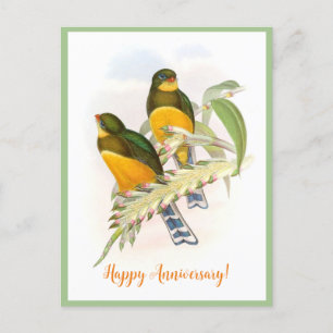 Macklots Trogon (1850-1883)  Postkarte