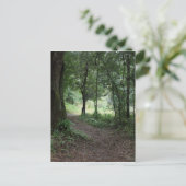 Maclay Gardens Postkarte (Stehend Vorderseite)