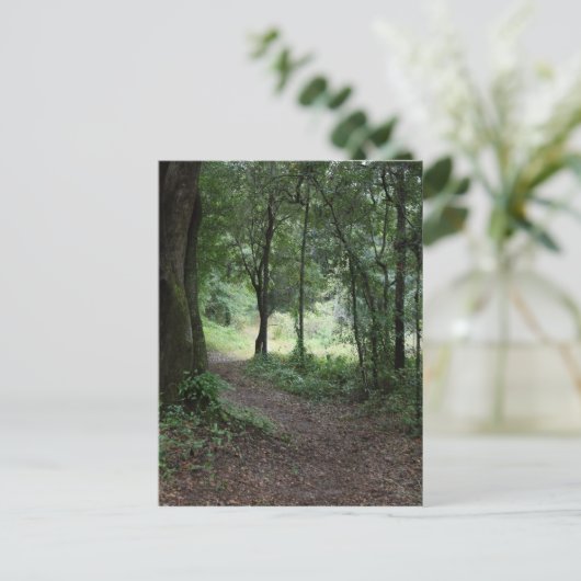 Maclay Gardens Postkarte (Stehend Vorderseite)