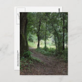 Maclay Gardens Postkarte (Vorne/Hinten)