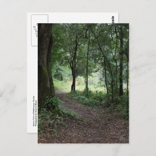 Maclay Gardens Postkarte (Vorne/Hinten)