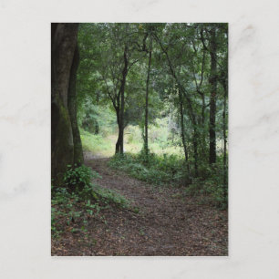 Maclay Gardens Postkarte