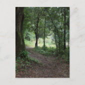 Maclay Gardens Postkarte (Vorderseite)