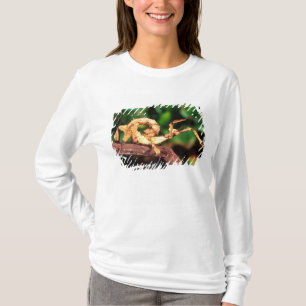 Macleays Gespenst (Stachelstabheuschrecke), T-Shirt