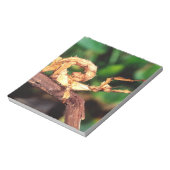 Macleay's Specter (Spiney Stick Insect), Notizblock (Rotiert)