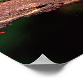 Macleay's Specter (Spiney Stick Insect), Poster (Ecke)