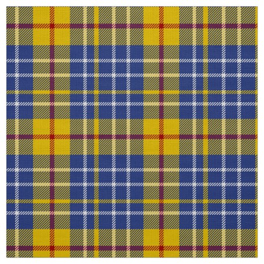 MacLeod Tartan Kariertes blaues, grünes und schwar Stoff (Muster)