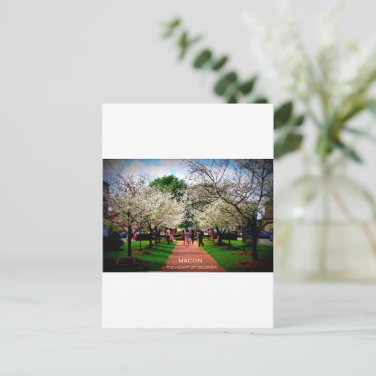 Macon, Georgien Postkarte (Stehend Vorderseite)
