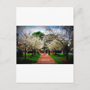 Macon, Georgien Postkarte