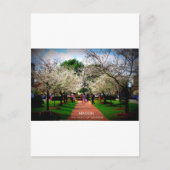 Macon, Georgien Postkarte (Vorderseite)