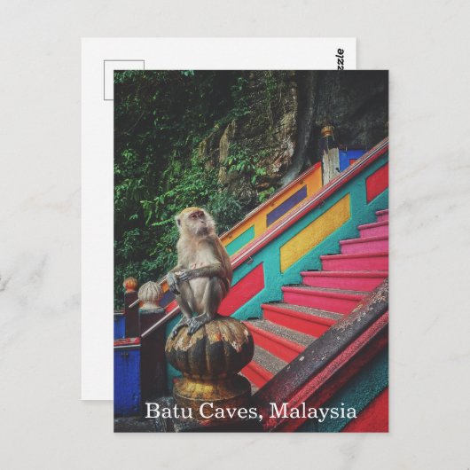 Macque Monkey at Batu Caves, Malaysia Travel Postkarte (Vorne/Hinten)