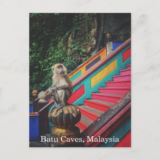 Macque Monkey at Batu Caves, Malaysia Travel Postkarte (Vorderseite)