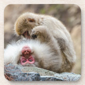 Macque Monkey, der das gute Leben genießt Getränkeuntersetzer (Vorderseite)