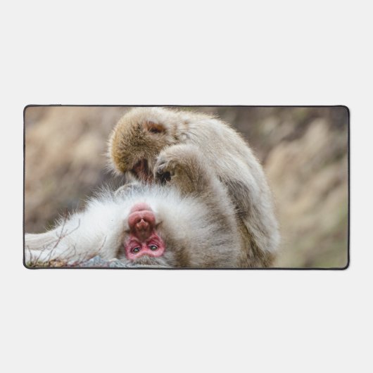 Macque Monkey, der das gute Leben genießt Schreibtischunterlage (Vorderseite)