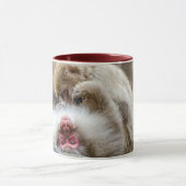 Macque Monkey, der das gute Leben genießt Tasse (Zentrum)