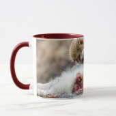 Macque Monkey, der das gute Leben genießt Tasse (Links)