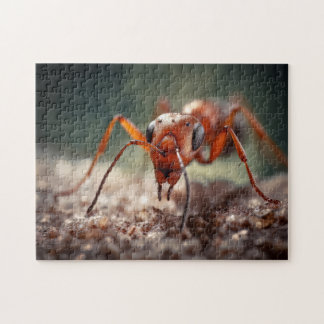 Macro Ant Wonders Puzzle