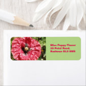Macro Custom Labels für hübsche Red Poppy Blume (Insitu)