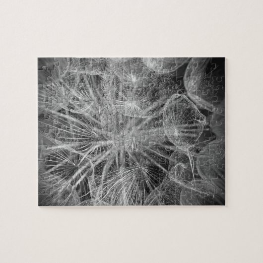 Macro Dandelion Puffball Nature Puzzle (Horizontal)