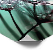 Macro Dandelion Seeds Wassertropfen Foto Poster (Ecke)