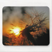 Macro Dandelion Sunset Mousepad (Vorne)