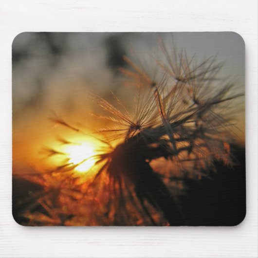 Macro Dandelion Sunset Mousepad (Vorne)