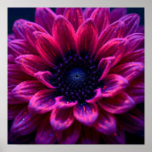 Macro Fuchsia Nebula Poster (Vorne)