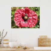Macro für hübsche Blume mit rotem Poppy Poster (Küche)