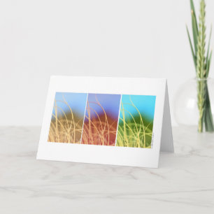 Macro Grass Trio Karte