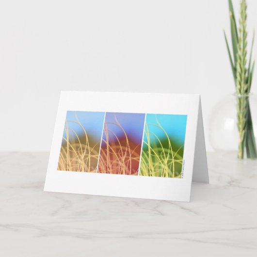 Macro Grass Trio Karte (Vorderseite)