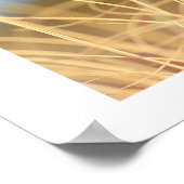 Macro Grass Trio Poster (Ecke)