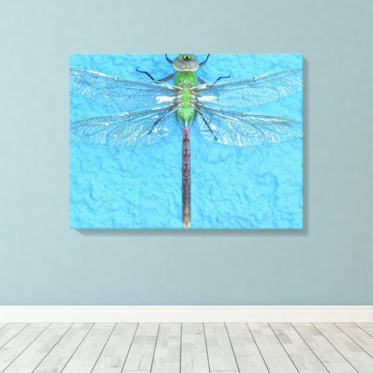 Macro Green Dragonfly auf blauem Hintergrund Leinwanddruck (Insitu (Holzboden))