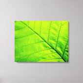 Macro Green Leaf Wrapped Canvas Leinwanddruck (Vorderseite)