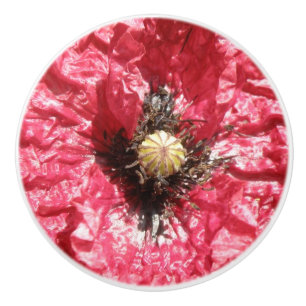 Macro Keramik Knoblauch für hübsche Red Poppy Blum Keramikknauf