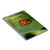 Macro Ladybug Nature Notebook Notizblock (Rechte Seite)