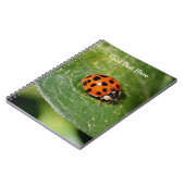 Macro Ladybug Nature Notebook Notizblock (Linke Seite)