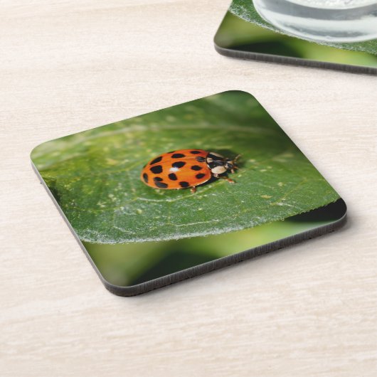 Macro Ladybug Nature Untersetzer Set (Linke Seite)